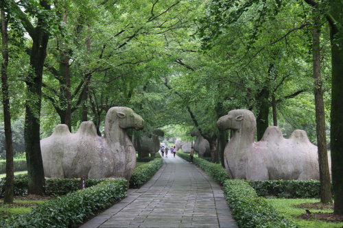 �½��ϡ���2015����ջ������μǣ�һ������