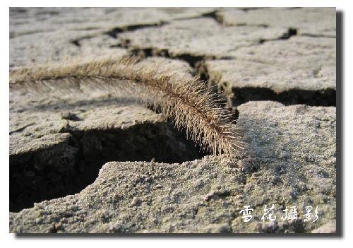 ����������ʵ�ġ���̼�ˡ�����