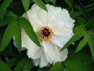 ��ĵ������