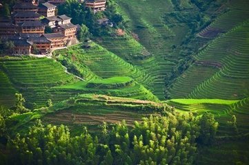 ɽ����δ��(��)��������������