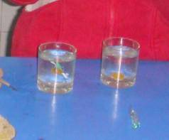 �����ǵ��Ľ�����ʵ��-�ȱ��ǿ�ˮ���ǻ��ÿ�����