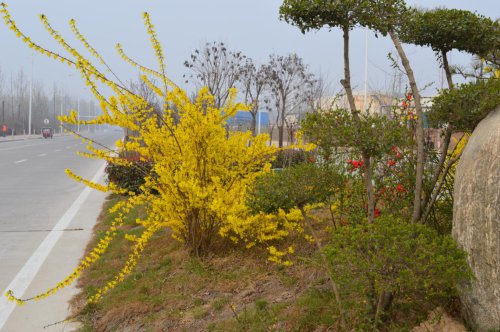 ��һ�꣬�ҵ����绨���ļ�����