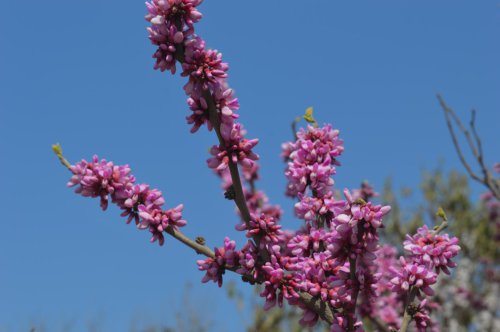 ��һ�꣬�ҵ����绨���ļ�����