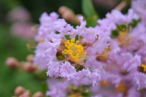 ��һ�꣬�ҵ����绨���ļ�����