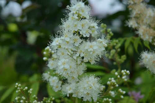 ��һ�꣬�ҵ����绨���ļ�����