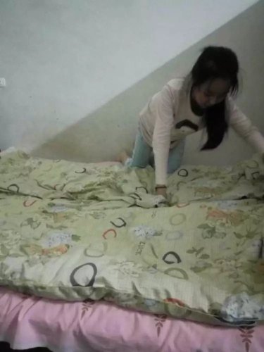 ���Ȱ��Ͷ���ѧ��ж���������������