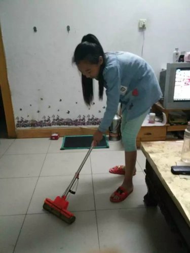 ���Ȱ��Ͷ���ѧ��ж���������������