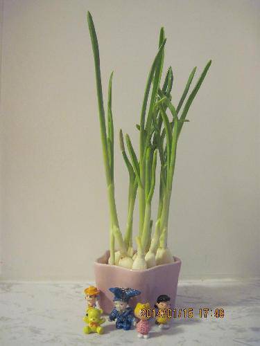 С��������������