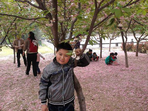 ѩ������  ���ĺ�������