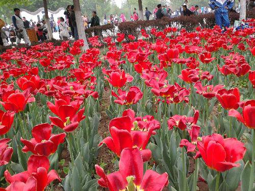 ѩ������  ���ĺ�������