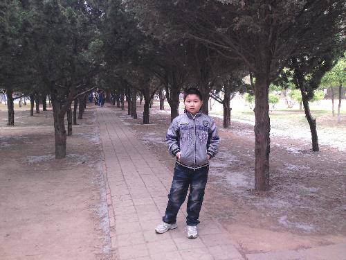 ѩ������  ���ĺ�������