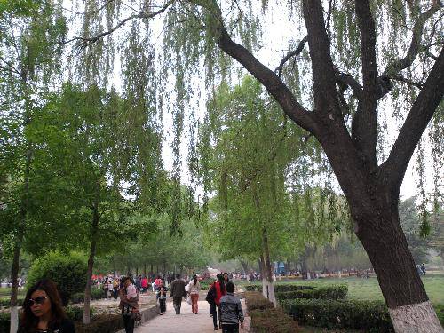 ѩ������  ���ĺ�������