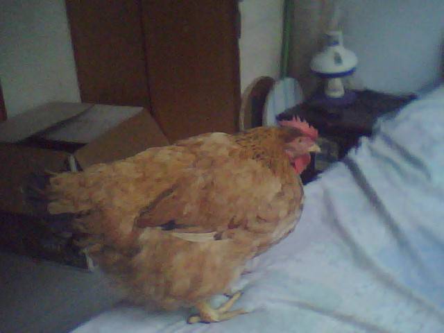 �������������