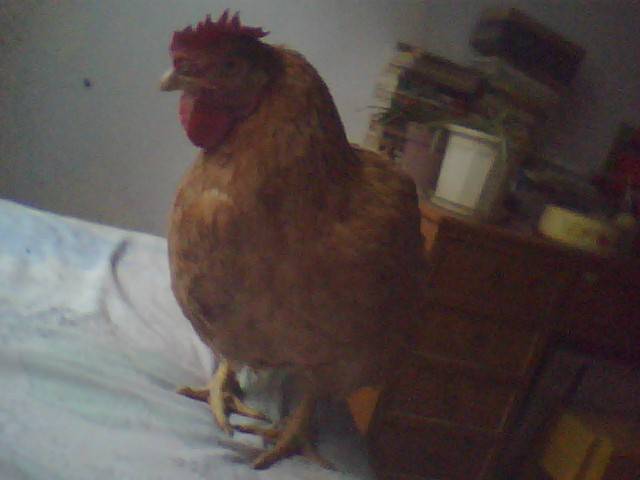 �������������