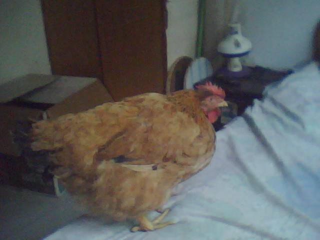 �������������