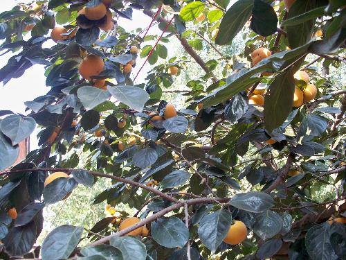 ��������������