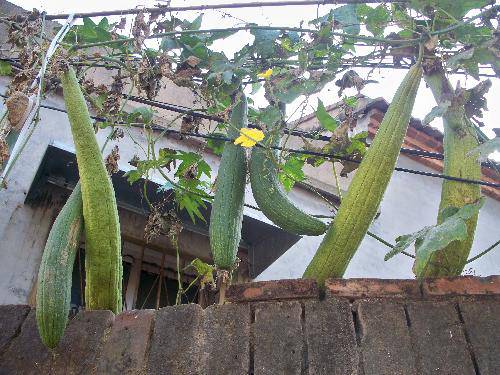 ��������������