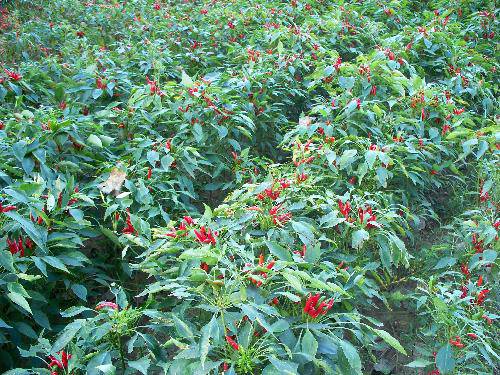 ��������������