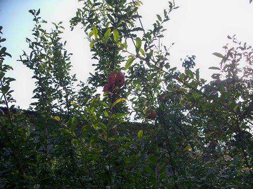 ��������������