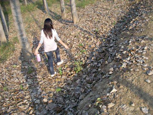 ��������������