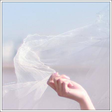 ���졪��Ϊ�����봨�����������������