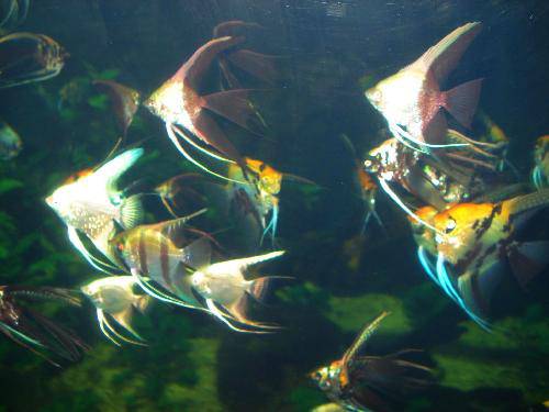 �������PK����