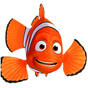 ��Ӿ����ʾ����