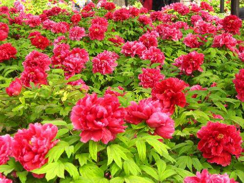 ���㣬�ҵļ�����������