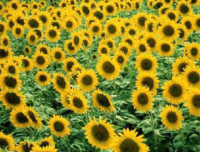 ���ֿ�԰���λ��������