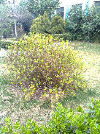 ������Ҫ�ȴ�����