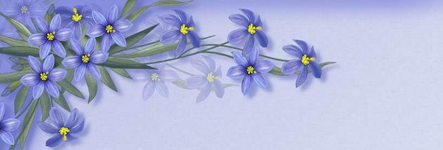 �λʼ�԰�֡����δʡ�����