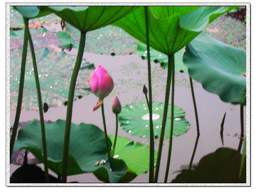 ����ӳ������