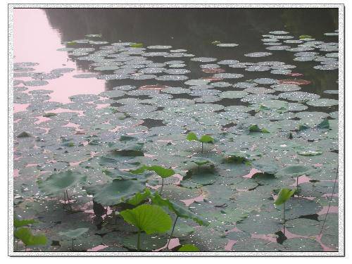 ����ӳ������