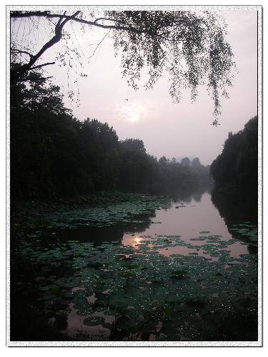 ����ӳ������