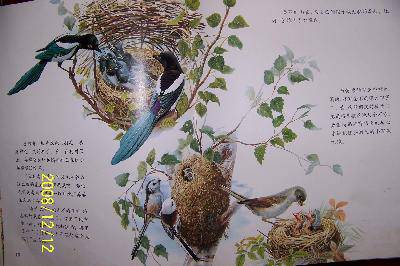 �͡�ׯ�����շơ�һ������ ֮����䷢�֡�����