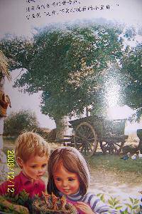 �͡�ׯ�����շơ�һ������ ֮����䷢�֡�����