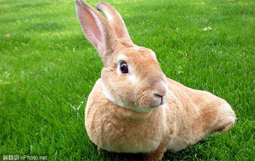 ˵��Ľ����