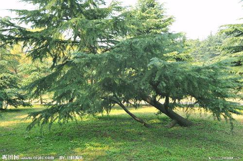 �����е������л�����