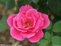 �����е������л�����