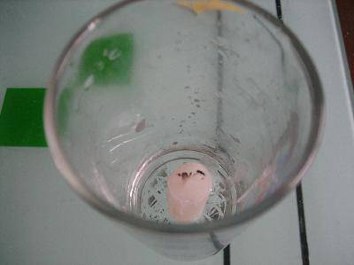 �����������ѧСʵ������