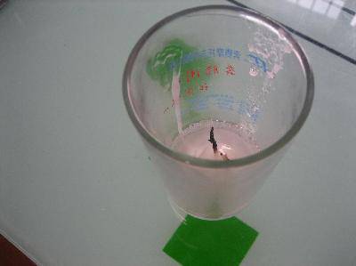 �����������ѧСʵ������