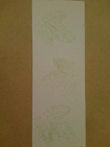 ɹɹ�ҵ�ѹ����ǩ����