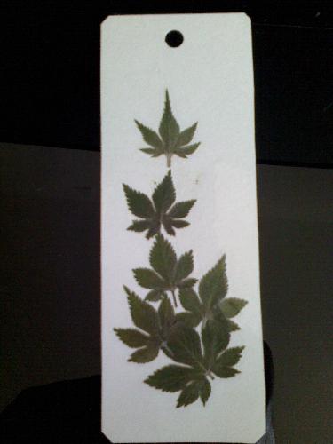 ɹɹ�ҵ�ѹ����ǩ����