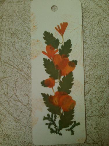 ɹɹ�ҵ�ѹ����ǩ����