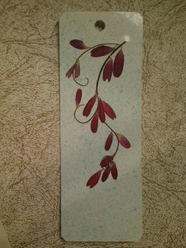 ɹɹ�ҵ�ѹ����ǩ����