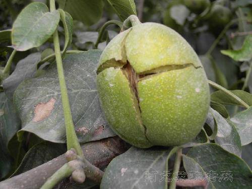 ���ҡ�������������