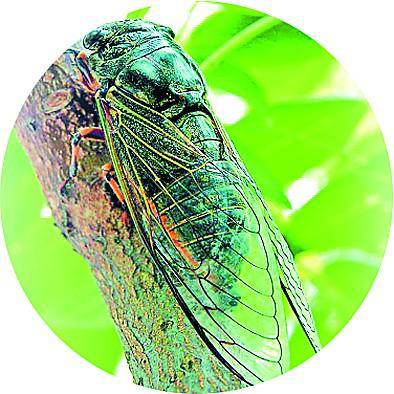 �ң������С�Դ�����