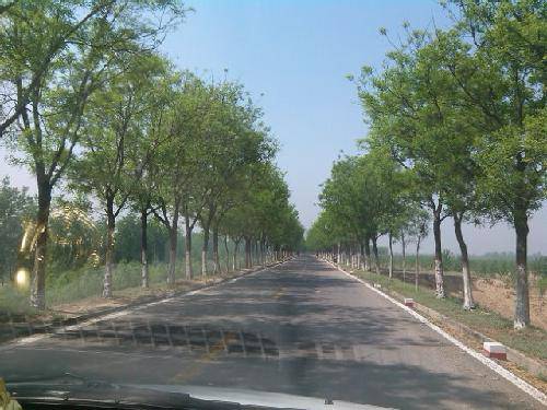 ���ġ���һ���ƺ�̲����