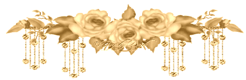 ���ǵ����Ų�������