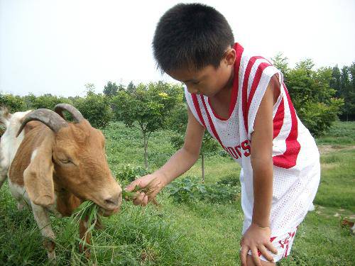 �ˮ��԰�����(�޸�ƪ������